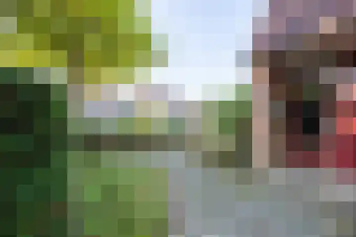 Hillekensacker 1273 A Nijmegen thumbnail 16