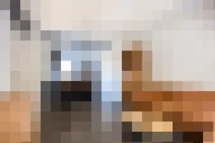 Hillekensacker 1273 A Nijmegen thumbnail 4