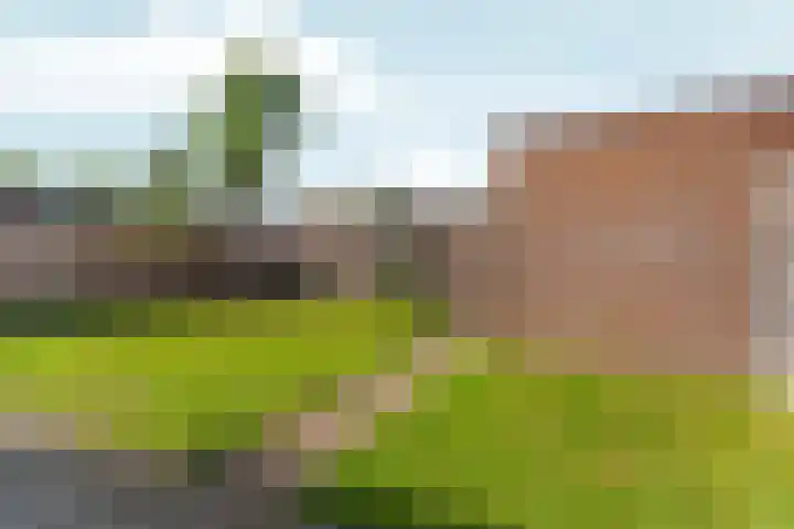 Hillekensacker 1273 Nijmegen thumbnail 17