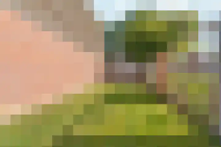 Hillekensacker 1273 Nijmegen thumbnail 19