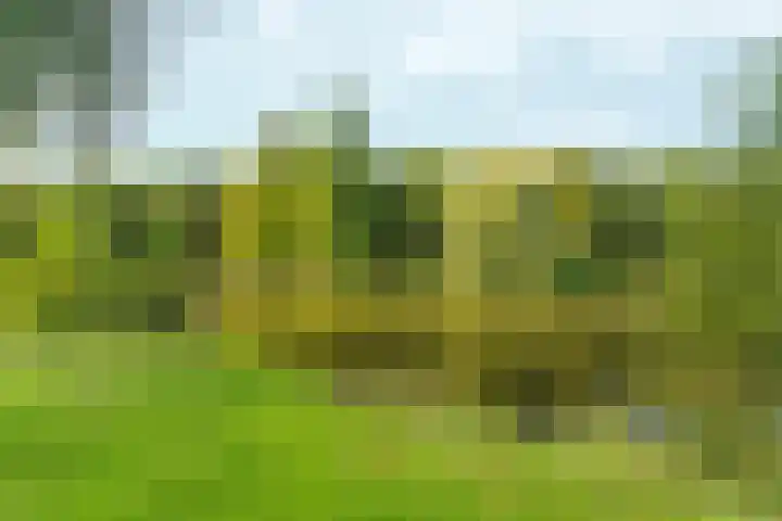 Hillekensacker 1273 Nijmegen thumbnail 20