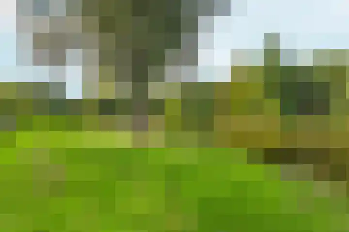Hillekensacker 1273 Nijmegen thumbnail 21
