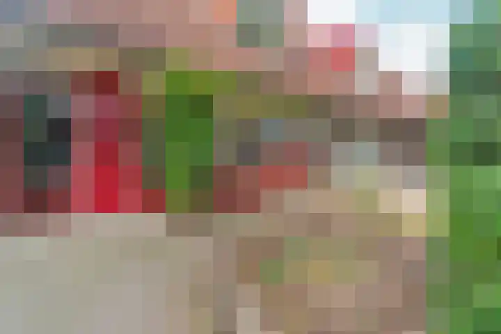 Hillekensacker 1273 Nijmegen thumbnail 8