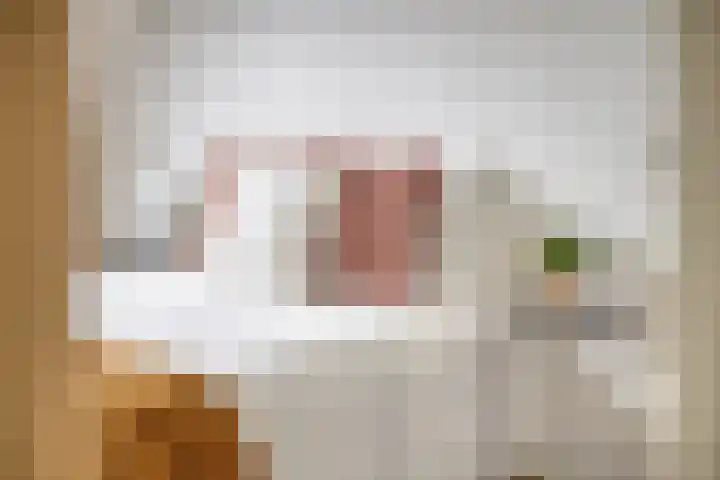 Hillekensacker 1275 A Nijmegen thumbnail 14