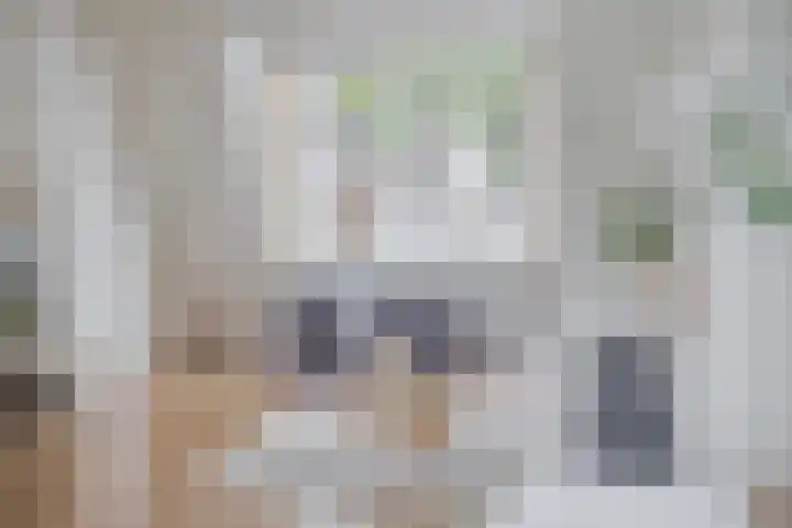Hillekensacker 1275 A Nijmegen thumbnail 8