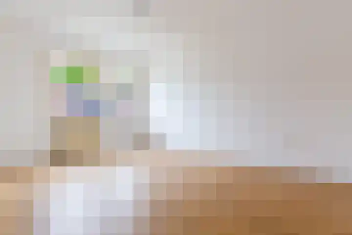 Hillekensacker 1406 Nijmegen thumbnail 21
