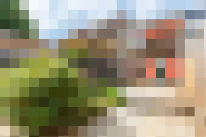 Hillekensacker 1406 Nijmegen thumbnail 4