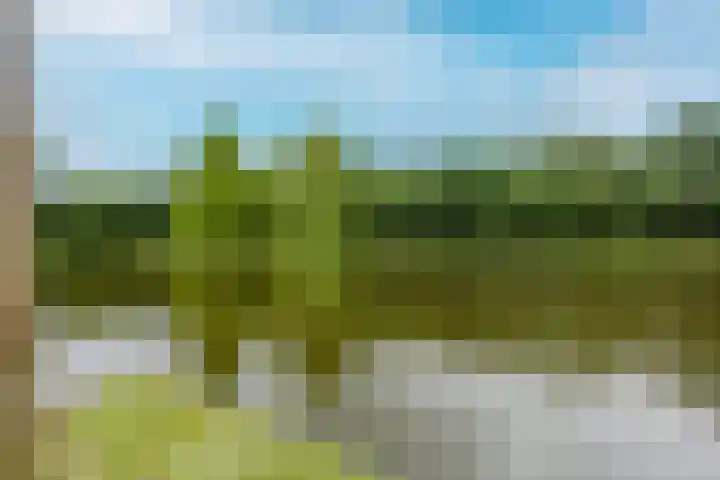 Hillekensacker 1449 Nijmegen thumbnail 28