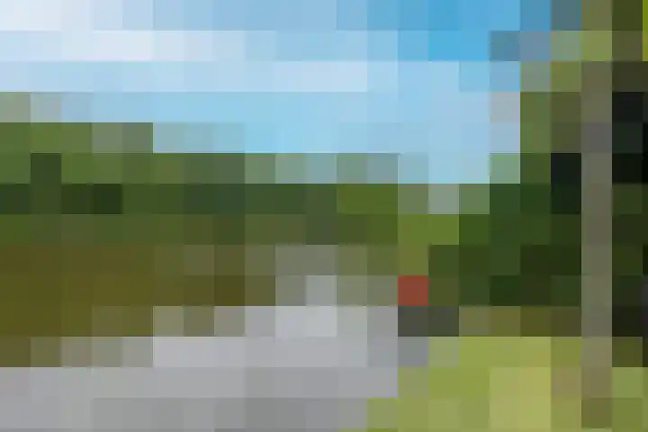 Hillekensacker 1449 Nijmegen thumbnail 29