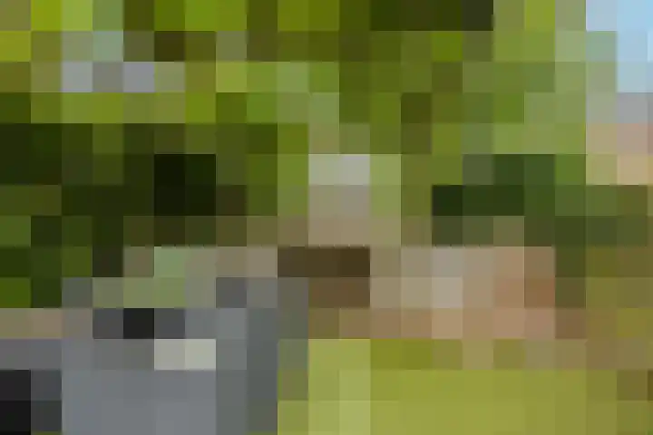 Hillekensacker 1449 Nijmegen thumbnail 30