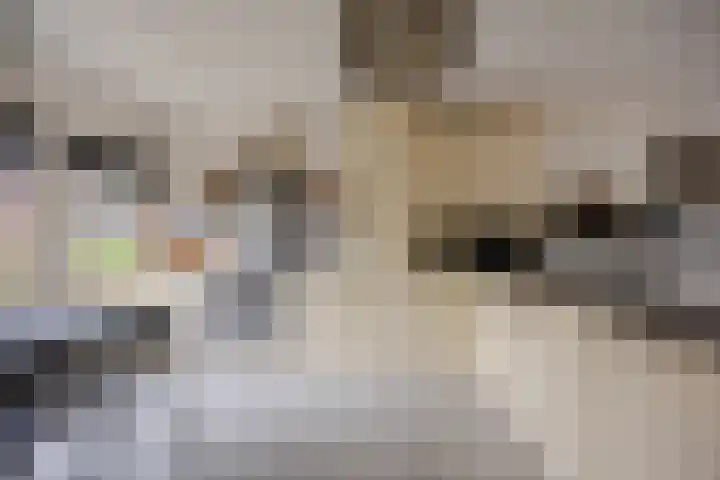 Hillekensacker 1449 Nijmegen thumbnail 4