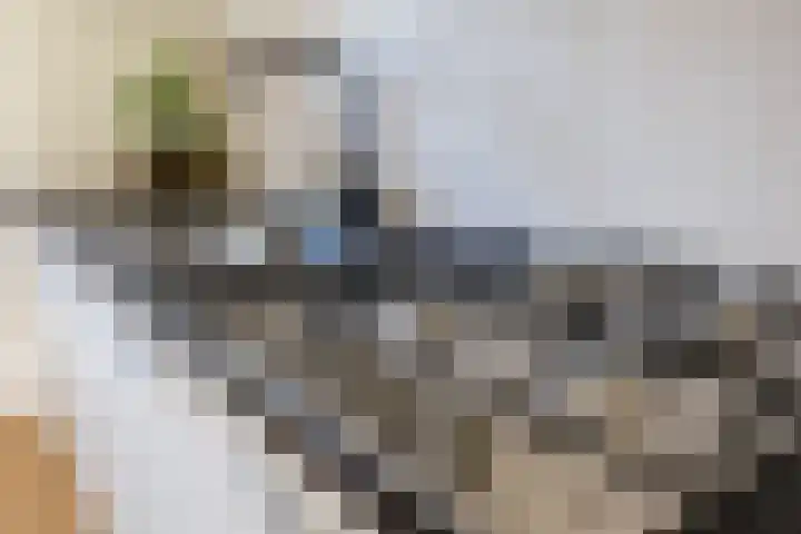 Hillekensacker 1548 Nijmegen thumbnail 15