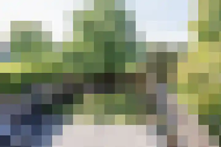 Hillekensacker 1548 Nijmegen thumbnail 20
