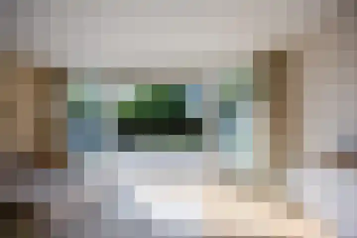 Hillekensacker 1548 Nijmegen thumbnail 32