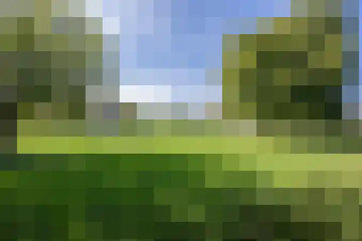 Hillekensacker 1548 Nijmegen thumbnail 36