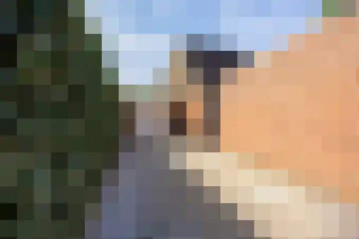Hillekensacker 1548 Nijmegen thumbnail 38