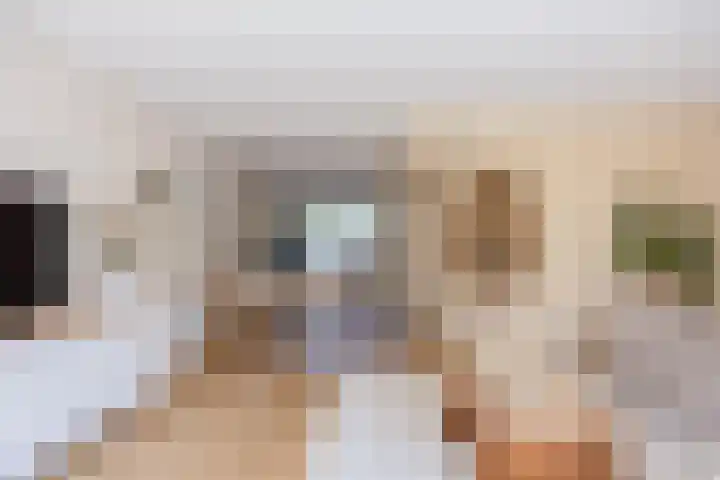Hillekensacker 1548 Nijmegen thumbnail 9