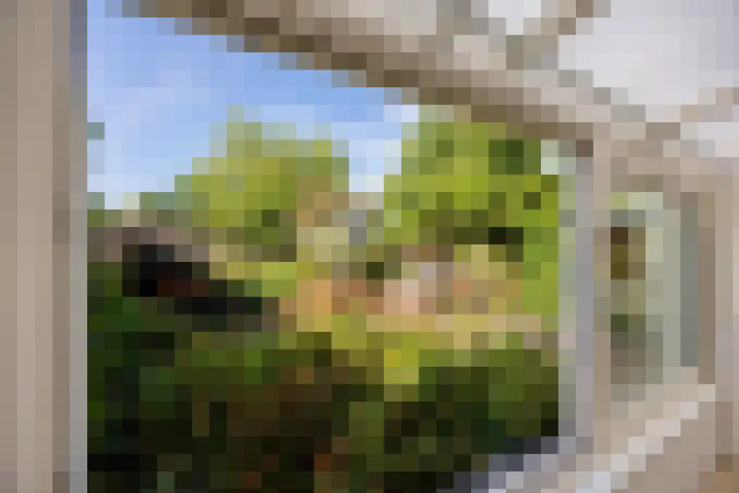 Hillekensacker 1550 Nijmegen thumbnail 23