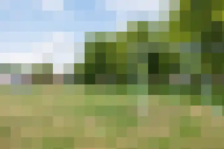 Hillekensacker 1570 Nijmegen thumbnail 38