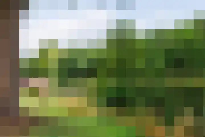Hillekensacker 1570 Nijmegen thumbnail 39