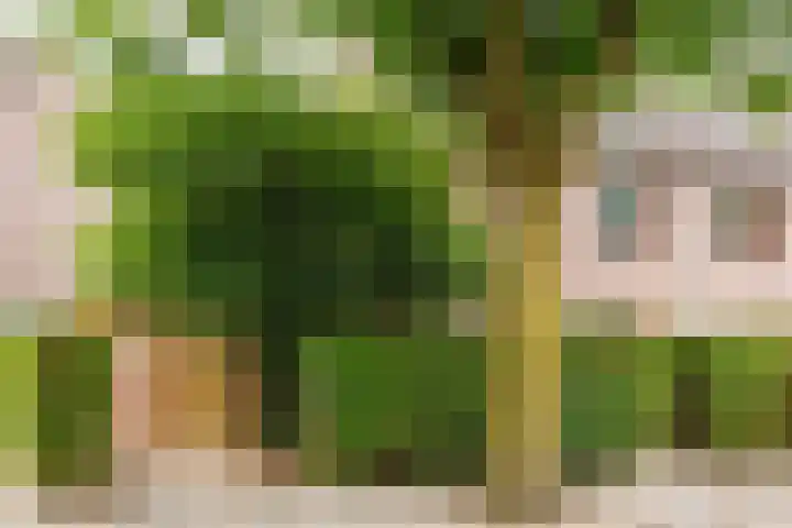 Hillekensacker 1570 Nijmegen thumbnail 4