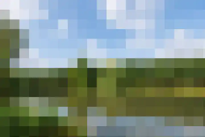 Hillekensacker 1570 Nijmegen thumbnail 41