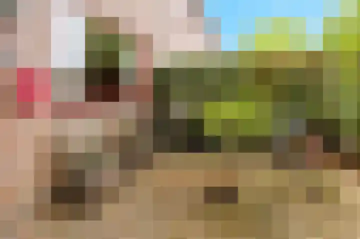 Hillekensacker 1570 Nijmegen thumbnail 6