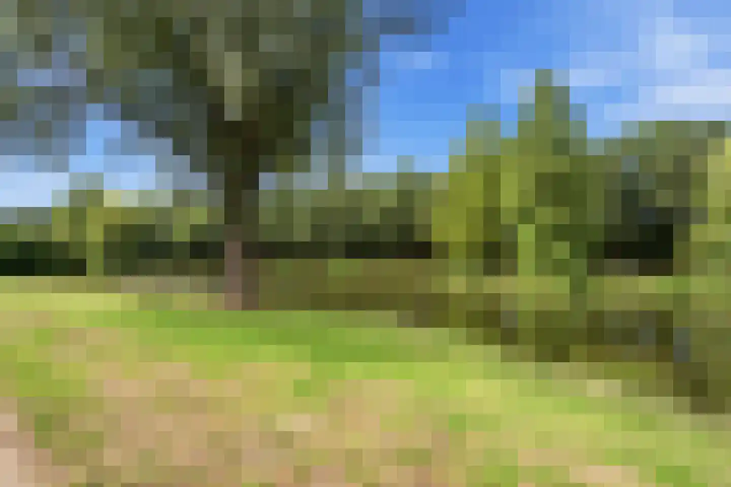 Hillekensacker 1609 A Nijmegen thumbnail 24