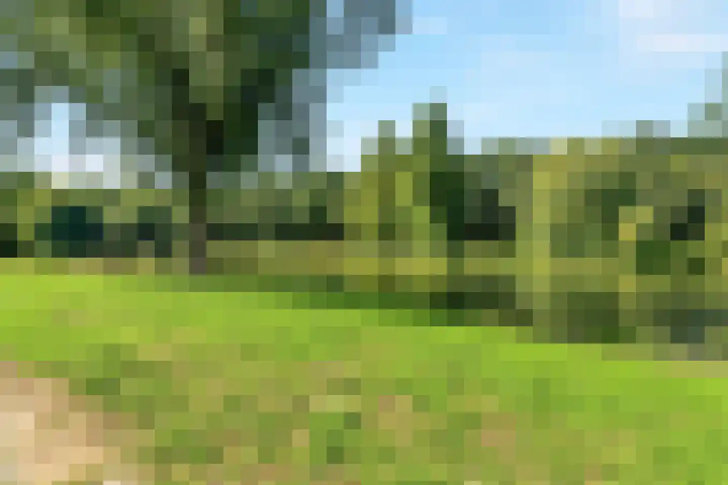 Hillekensacker 1611 Nijmegen thumbnail 17