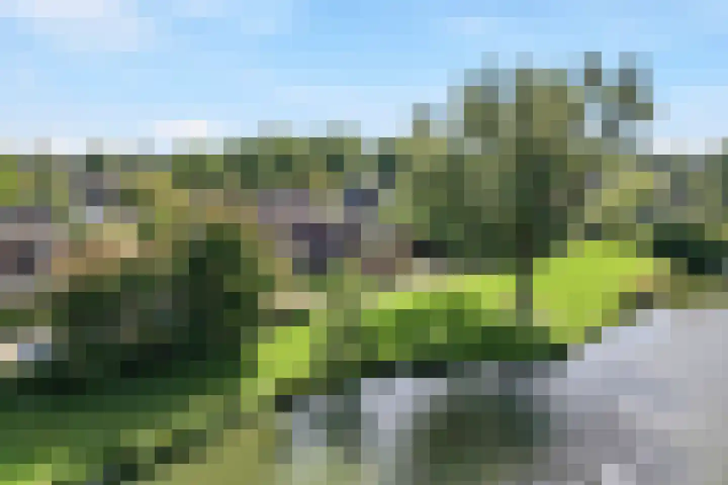 Hillekensacker 1611 Nijmegen thumbnail 4