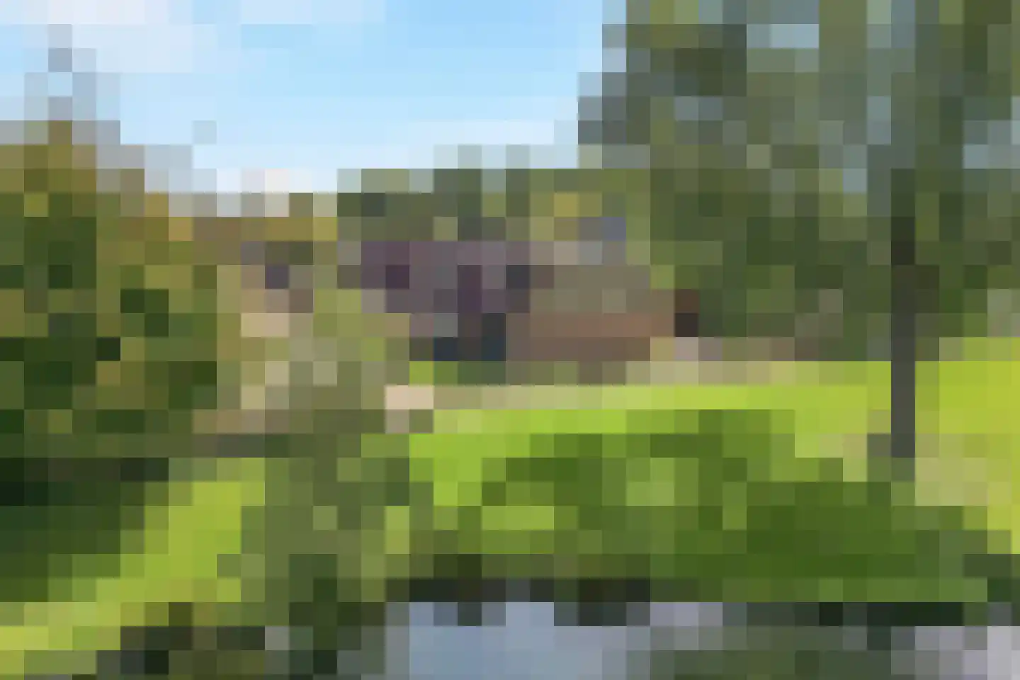 Hillekensacker 1611 Nijmegen thumbnail 5