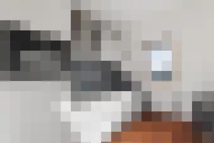 Hillekensacker 1802 A Nijmegen thumbnail 5