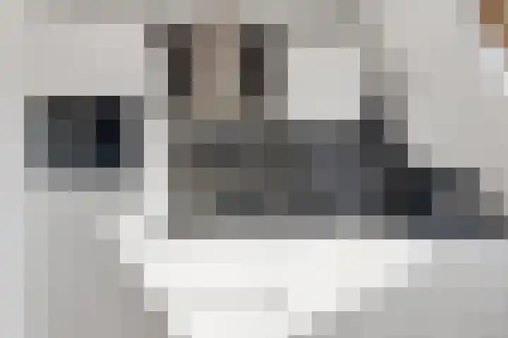 Hillekensacker 1802 A Nijmegen thumbnail 6