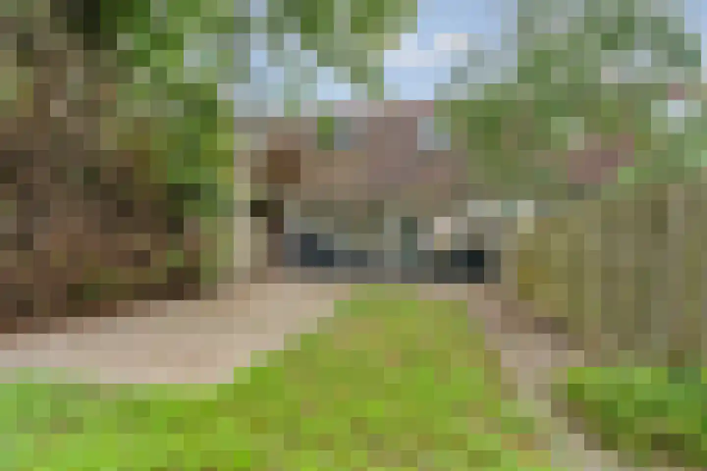 Hillekensacker 1803 Nijmegen thumbnail 19