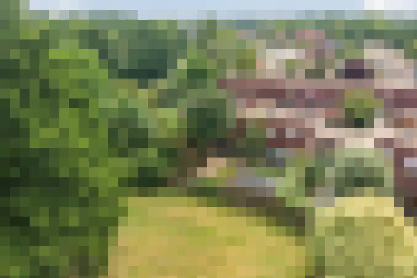 Hillekensacker 1803 Nijmegen thumbnail 25