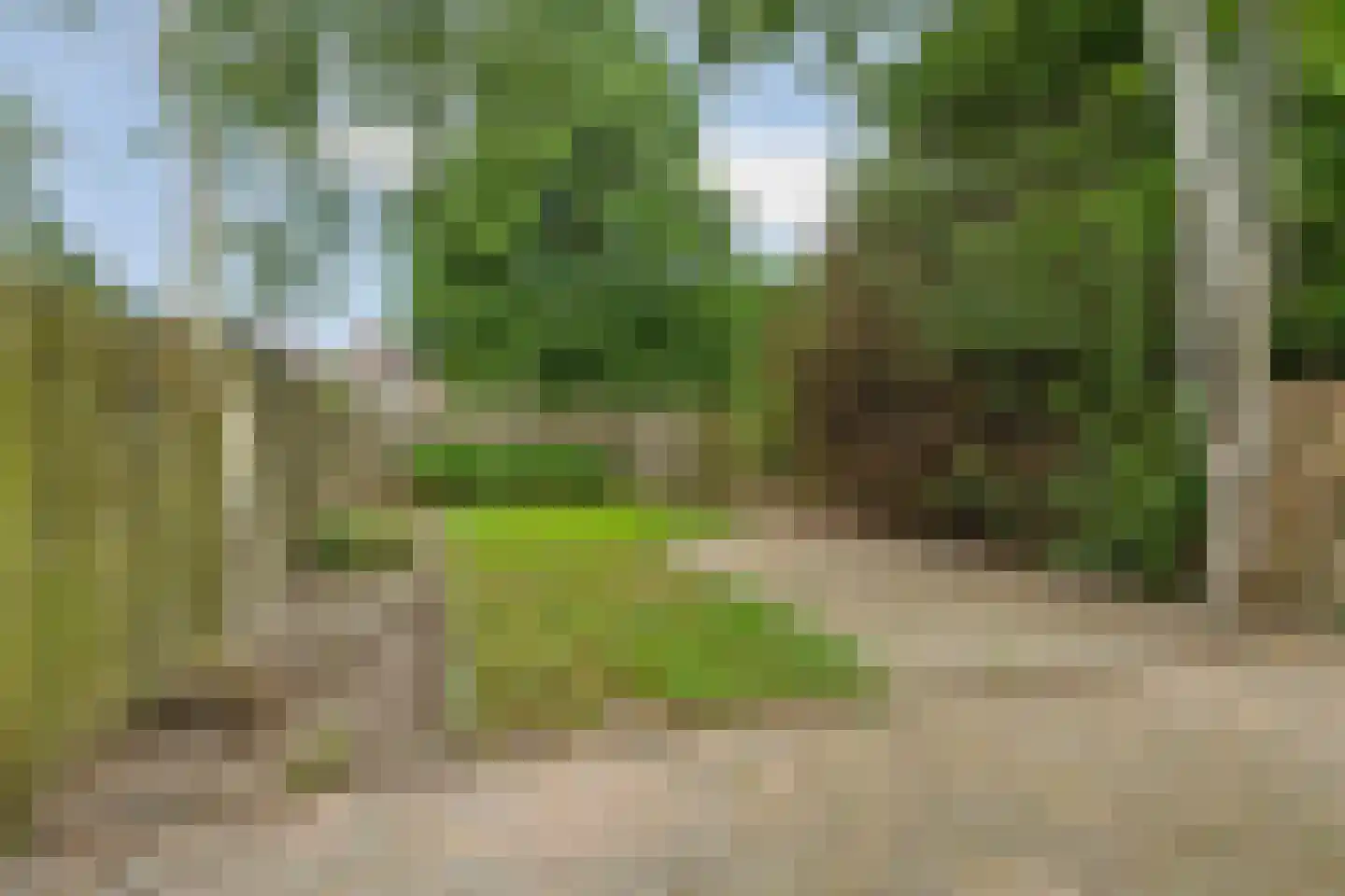 Hillekensacker 1803 Nijmegen thumbnail 4
