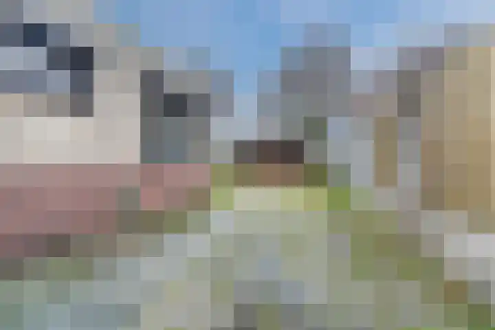 Hillekensacker 1912 Nijmegen thumbnail 21