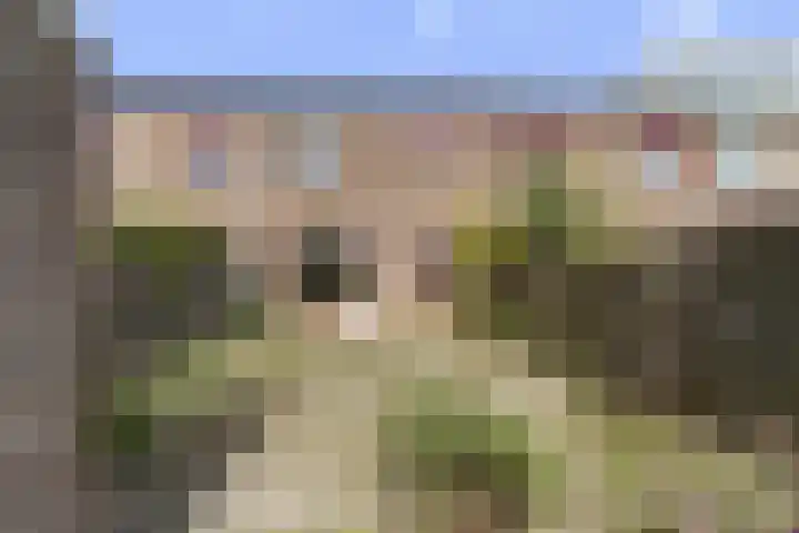 Hillekensacker 2007 Nijmegen thumbnail 33