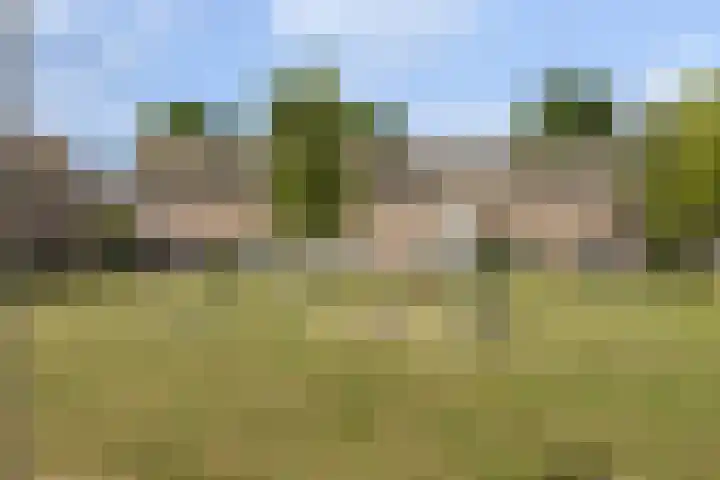 Hillekensacker 2007 Nijmegen thumbnail 7