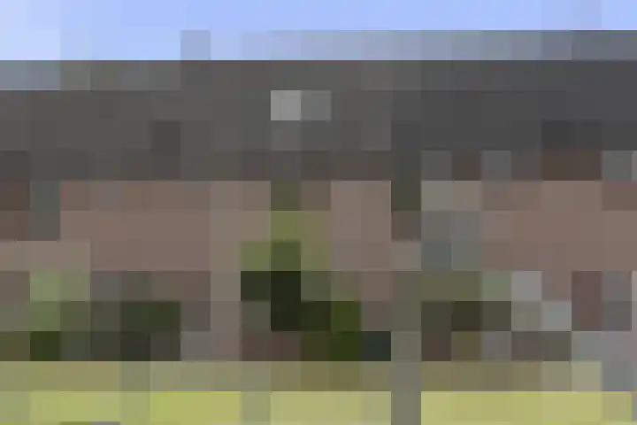 Hillekensacker 2007 Nijmegen thumbnail 8