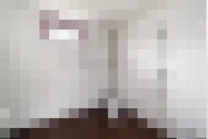 Hillekensacker 2029 Nijmegen thumbnail 18