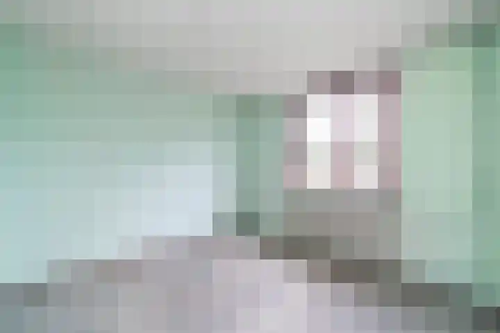 Hillekensacker 2029 Nijmegen thumbnail 20