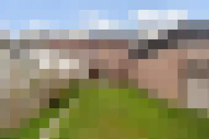 Hillekensacker 2029 Nijmegen thumbnail 24
