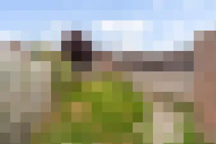Hillekensacker 2029 Nijmegen thumbnail 25