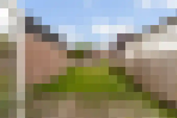 Hillekensacker 2029 Nijmegen thumbnail 26