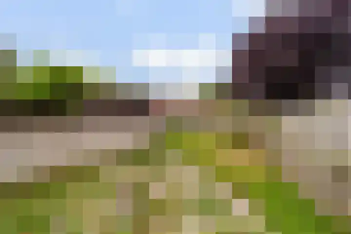 Hillekensacker 2029 Nijmegen thumbnail 27