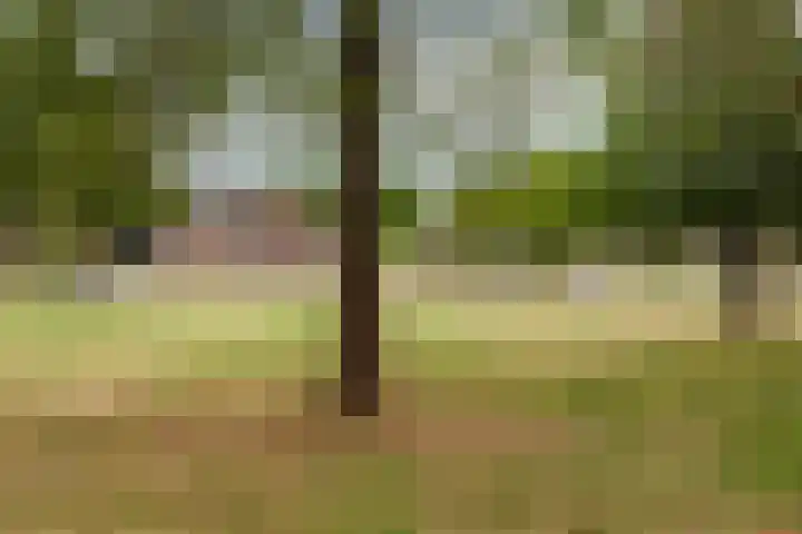 Hillekensacker 2029 Nijmegen thumbnail 29