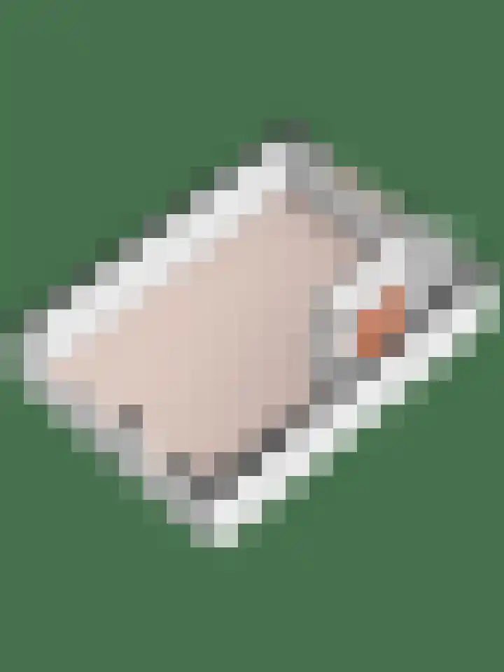Hillekensacker 2029 Nijmegen thumbnail 31