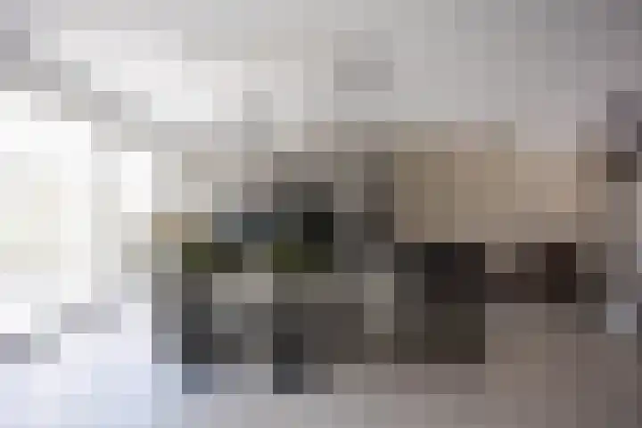 Hillekensacker 2104 Nijmegen thumbnail 13