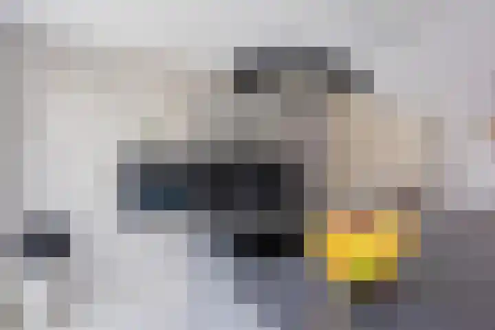 Hillekensacker 2104 Nijmegen thumbnail 14